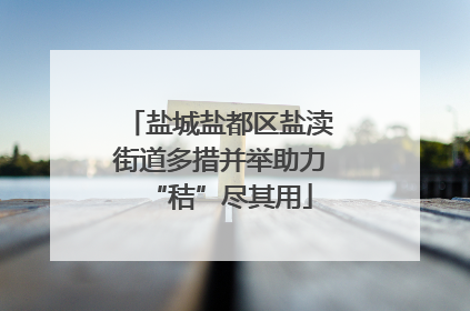 盐城盐都区盐渎街道多措并举助力“秸”尽其用